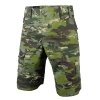 multicam-arid