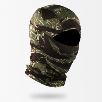 tiger stripe balaclava "Modius"