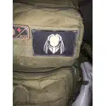 Predator velcro patch photo review