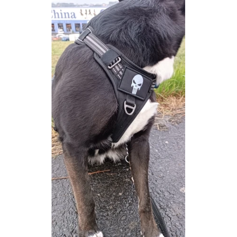 skull and crossbones patch photo review