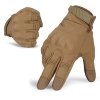 coyote-brown