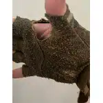 Tactical fingerless gloves “Fast-M” photo review