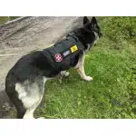 biohazard patch photo review