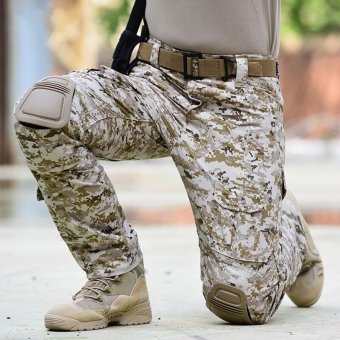 Digital Desert combat pants