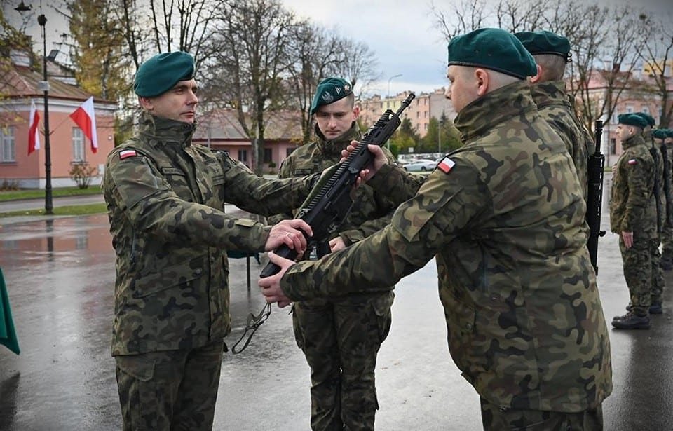 Polnische Waldtarnfarbe