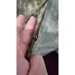 Multicam Tropic rain poncho photo review