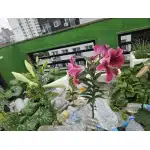 waterproof military poncho black photo review