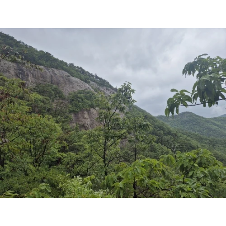 waterproof military poncho navy blue photo review