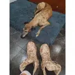 Desert digital camouflage lightweight boots photo review
