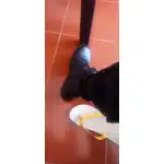 Lightweight tactical boots with zipper photo review