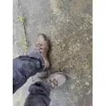 Tactical walking shoes "Hikeup" photo review