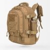 coyote-brown