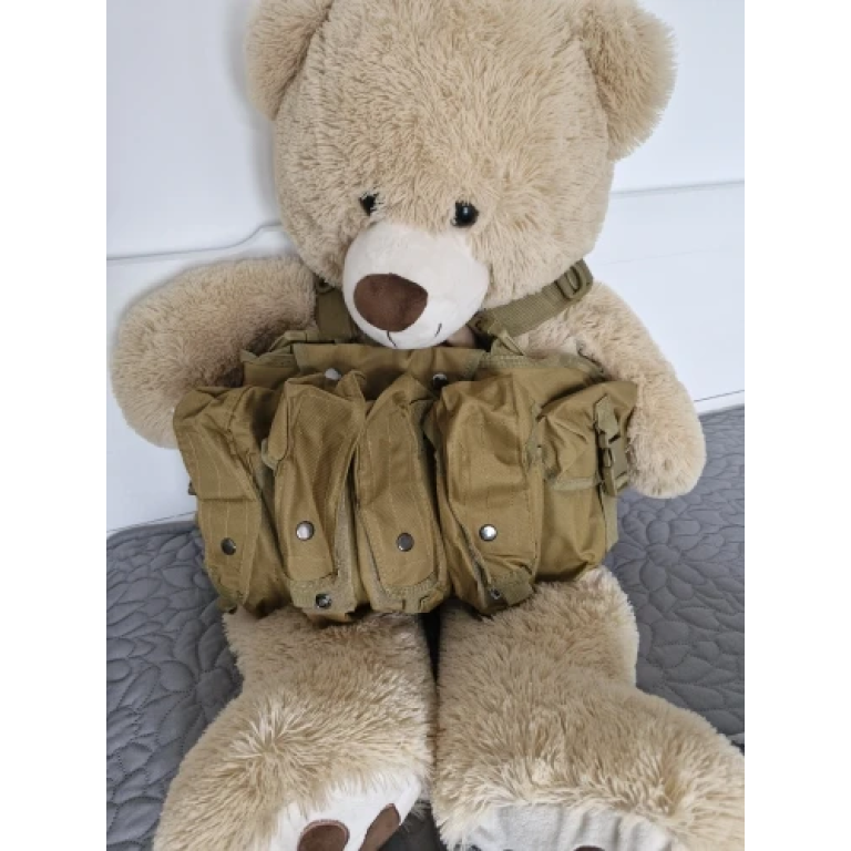 8 mag Tan ak chest rig photo review