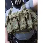 8 mag ak chest rig UCP photo review