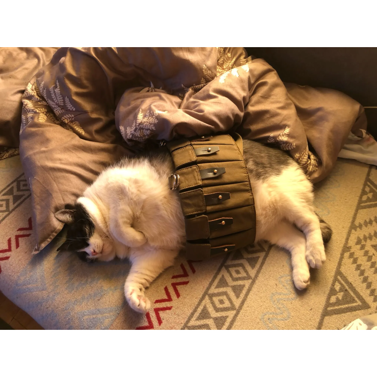 Soviet chest rig R22 "Lifchik" photo review