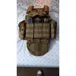 Molle Plate Carrier With Pouches photo review