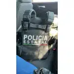 Plate carrier with side plates photo review