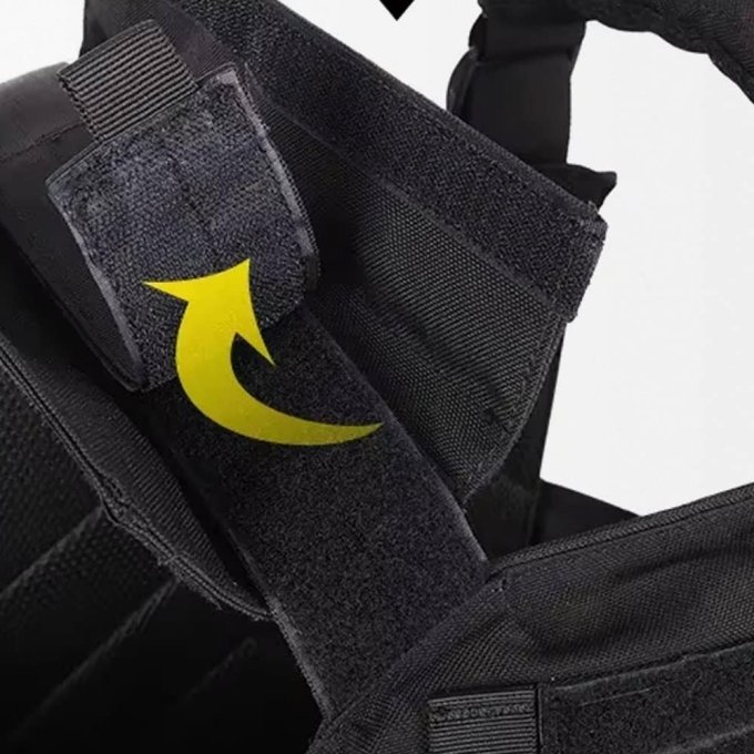 AVS Plate Carrier