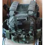 LTB plate carrier 6094 photo review