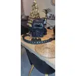 Ferro Concept Plate Carrier Multicam Black photo review