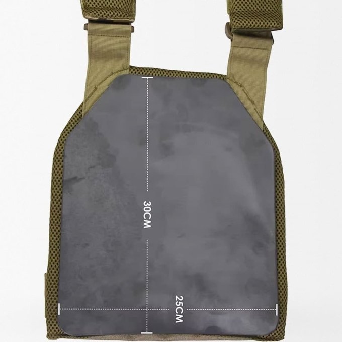 Concealed plate carrier - Image 8