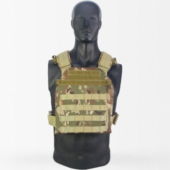 Concealed plate carrier
