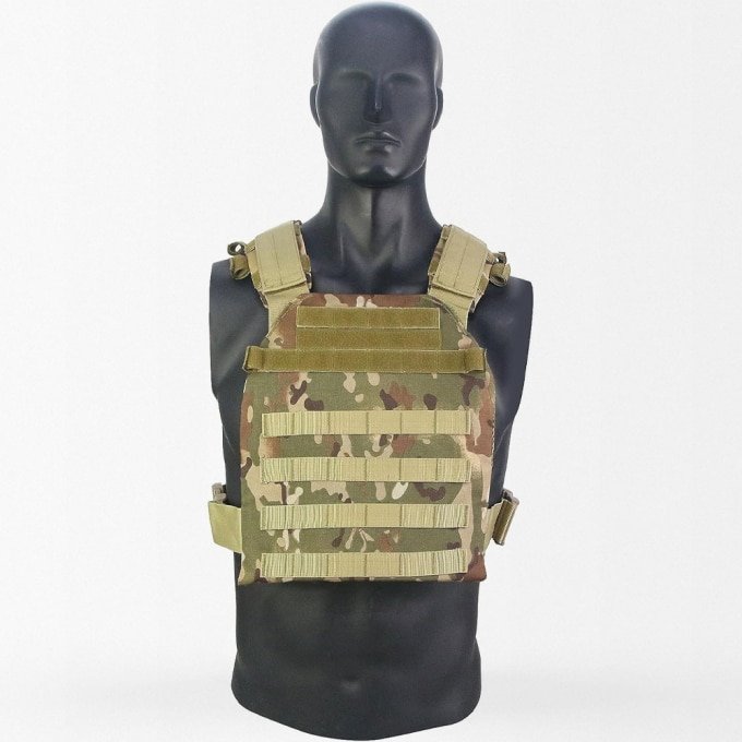 Concealed plate carrier