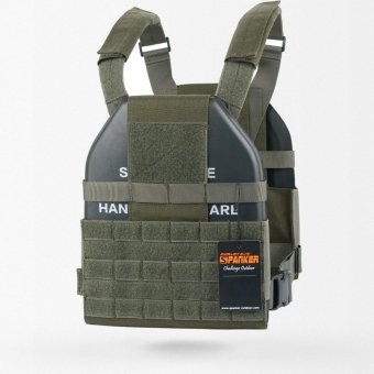 Low profile plate carrier