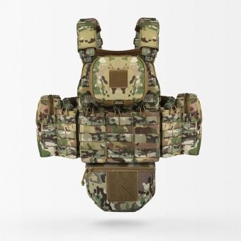 Molle Plate Carrier With Pouches Multicam