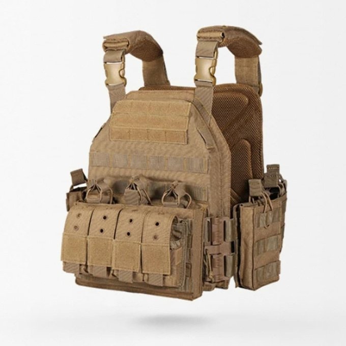 Quick release plate carrier