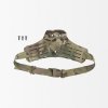 multicam