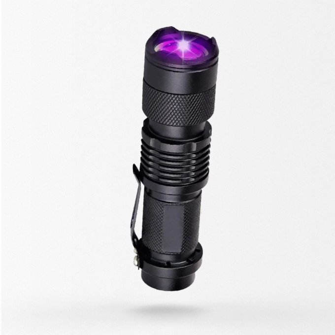 Tactical uv flashlight