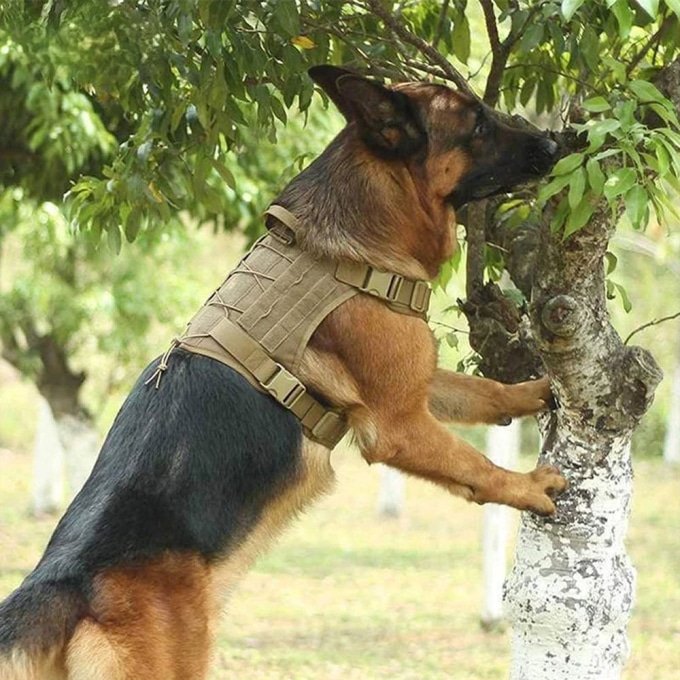 Tactical dog harness vest - Image 2