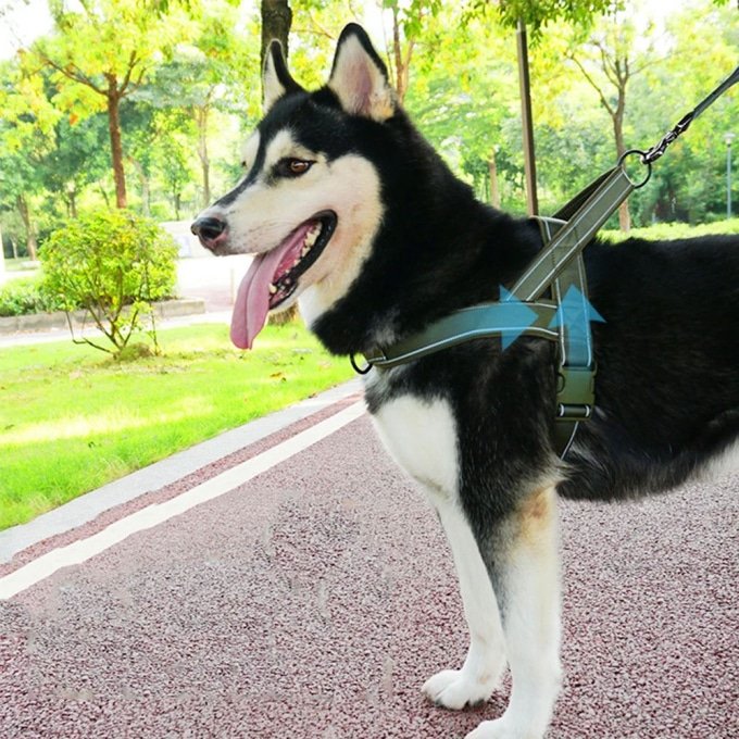 Tactical minimalist dog harness - Image 2