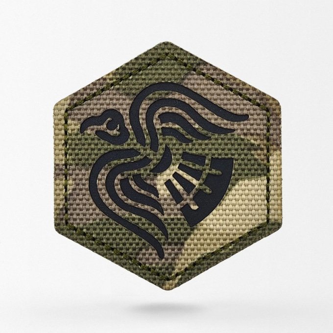 Raven military patch