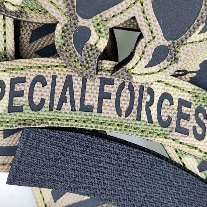 Special forces army patch - Image 2