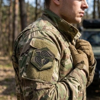 Raven military patch
