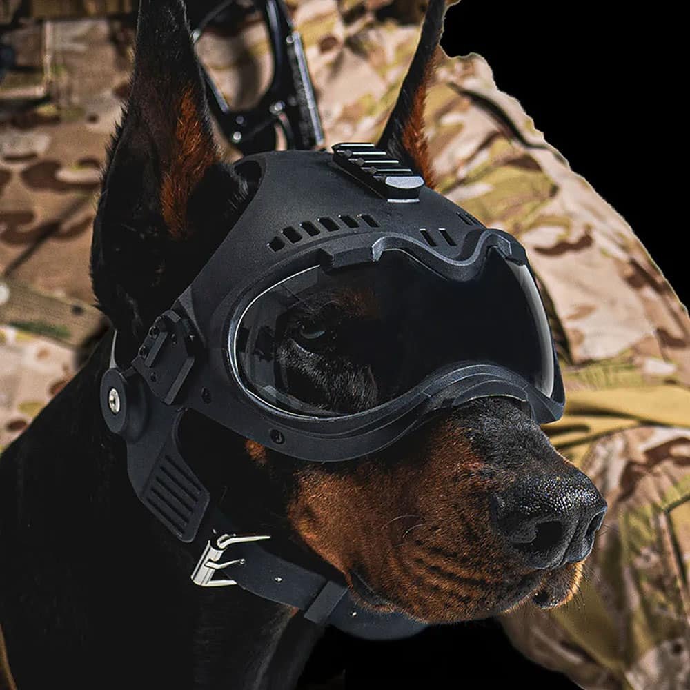 K9 tactical dog helmet - Image 2