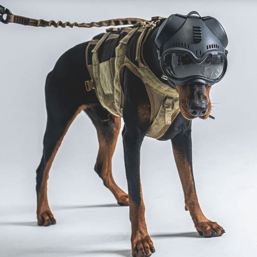 K9 tactical dog helmet - Image 7