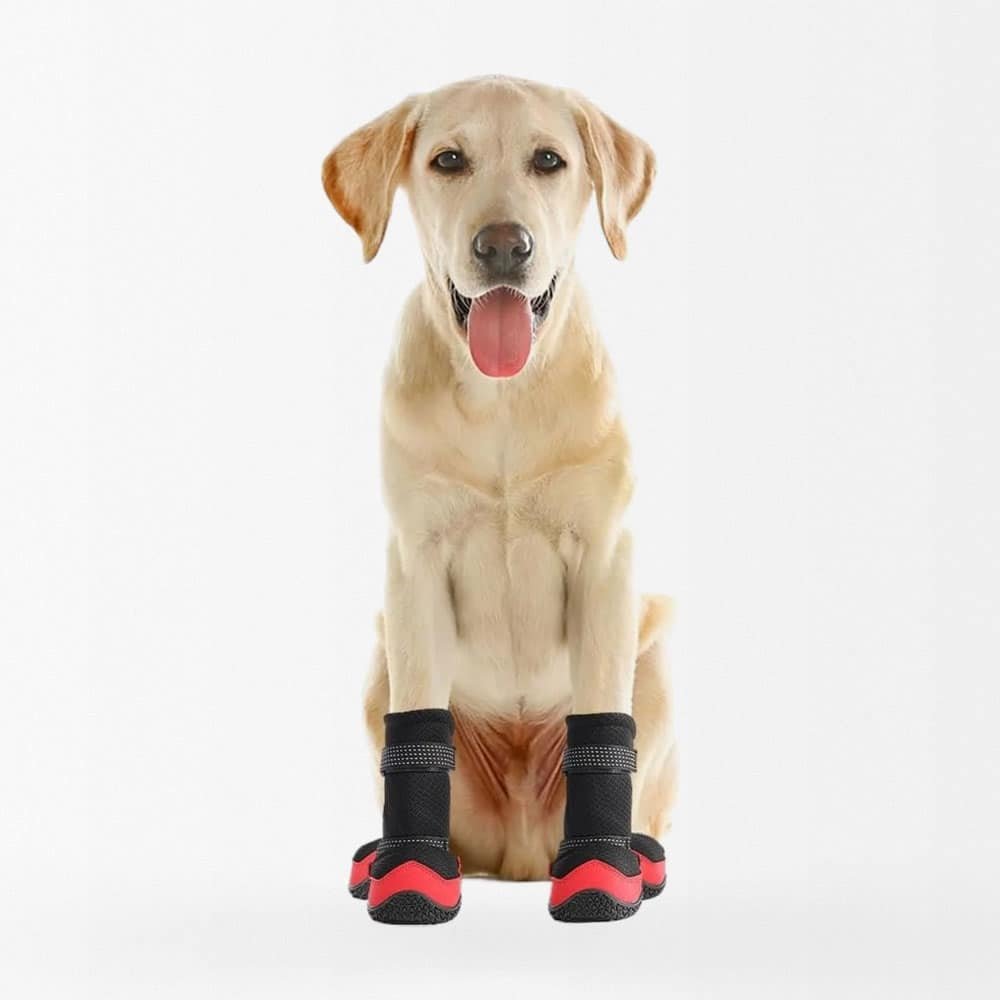 Military dog boots - Image 2
