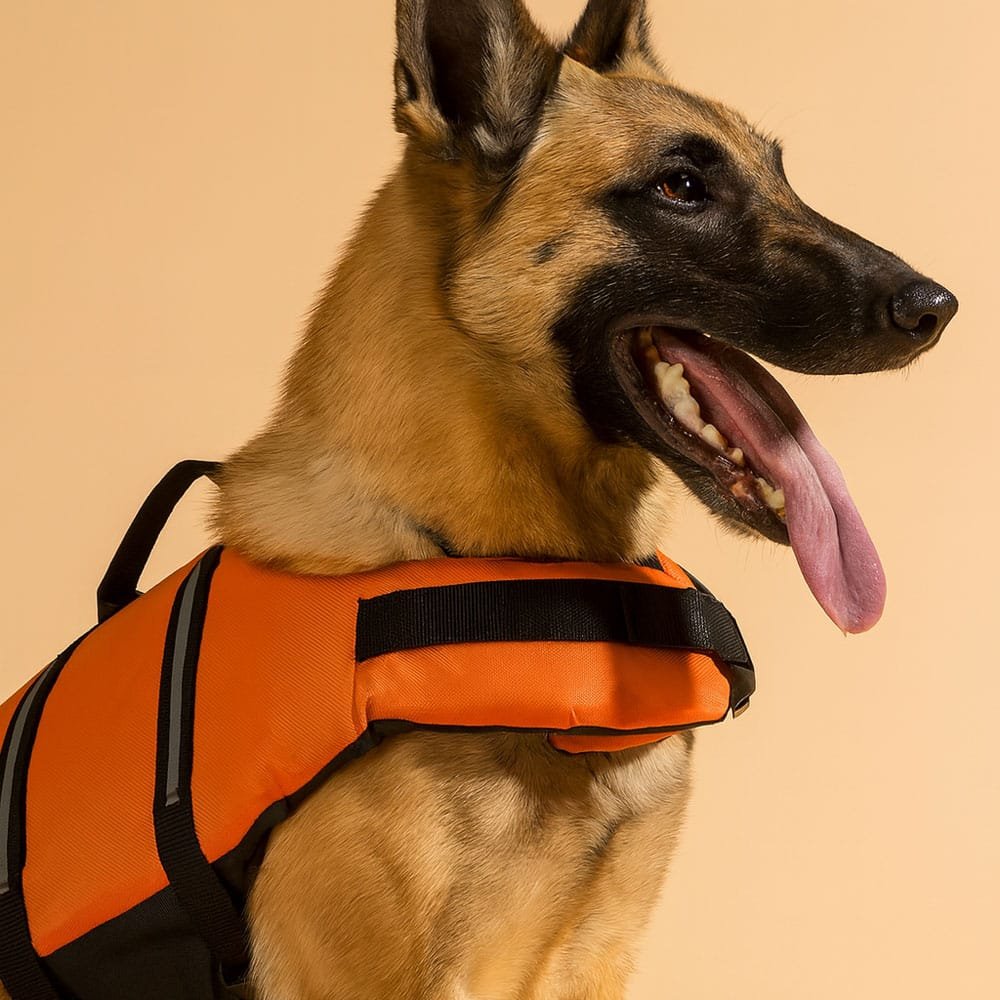 Military dog life jacket - Image 2