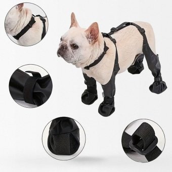Tactical dog boots with harness