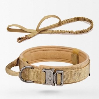 Tactical dog collar and leash