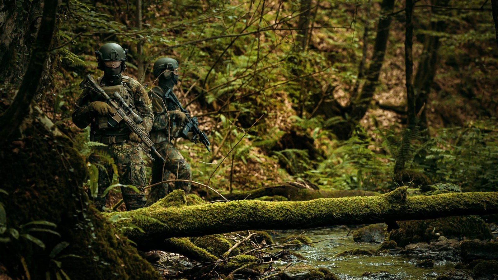 Flecktarn efficiency