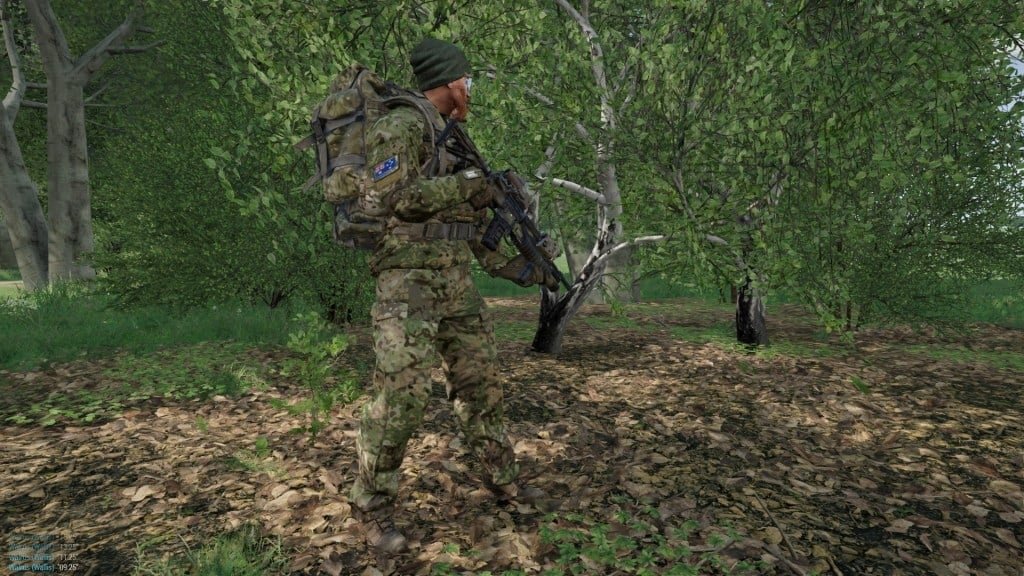 Forest camouflage